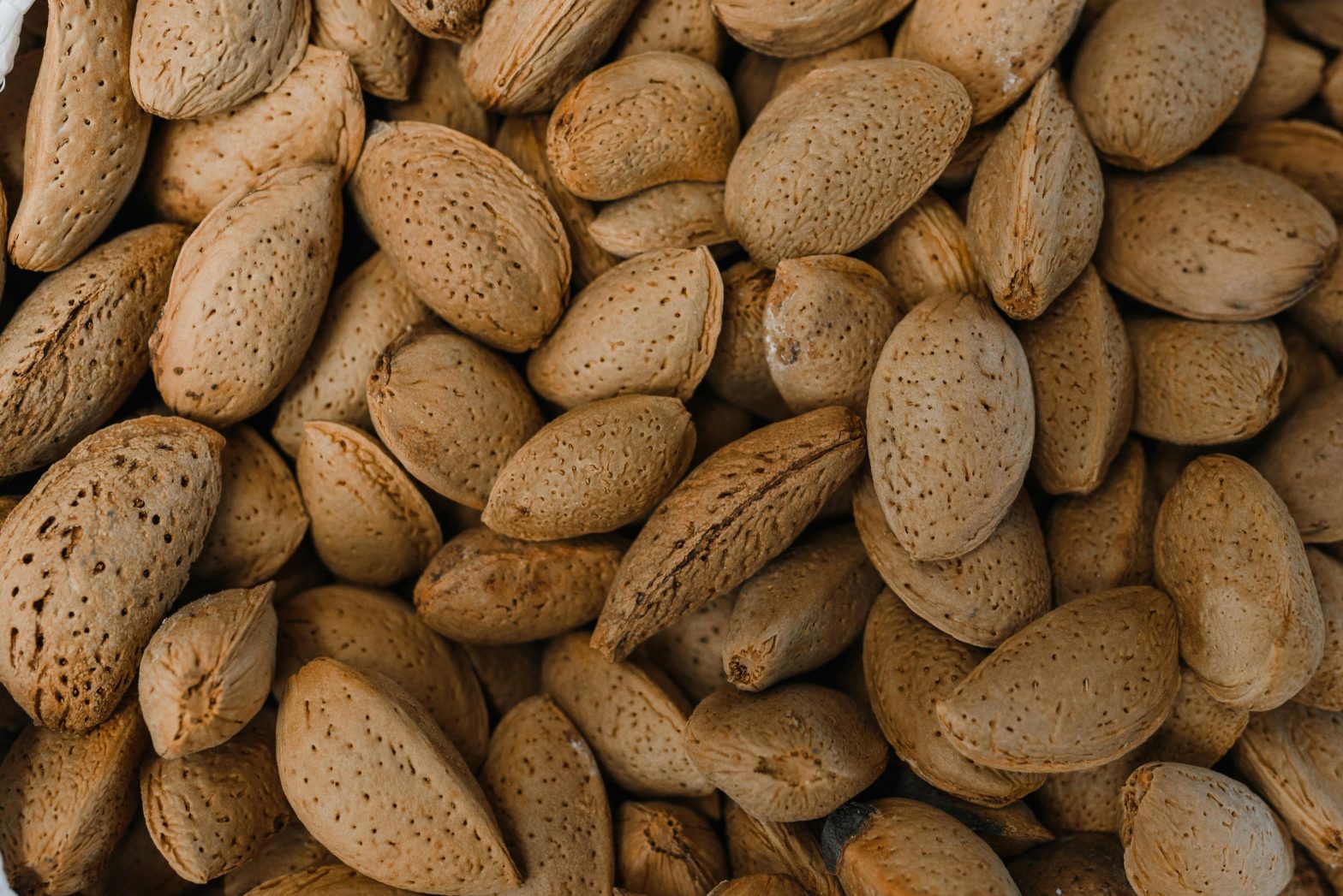 Image of a bunch of unshelled almonds. This is the main image of the article.