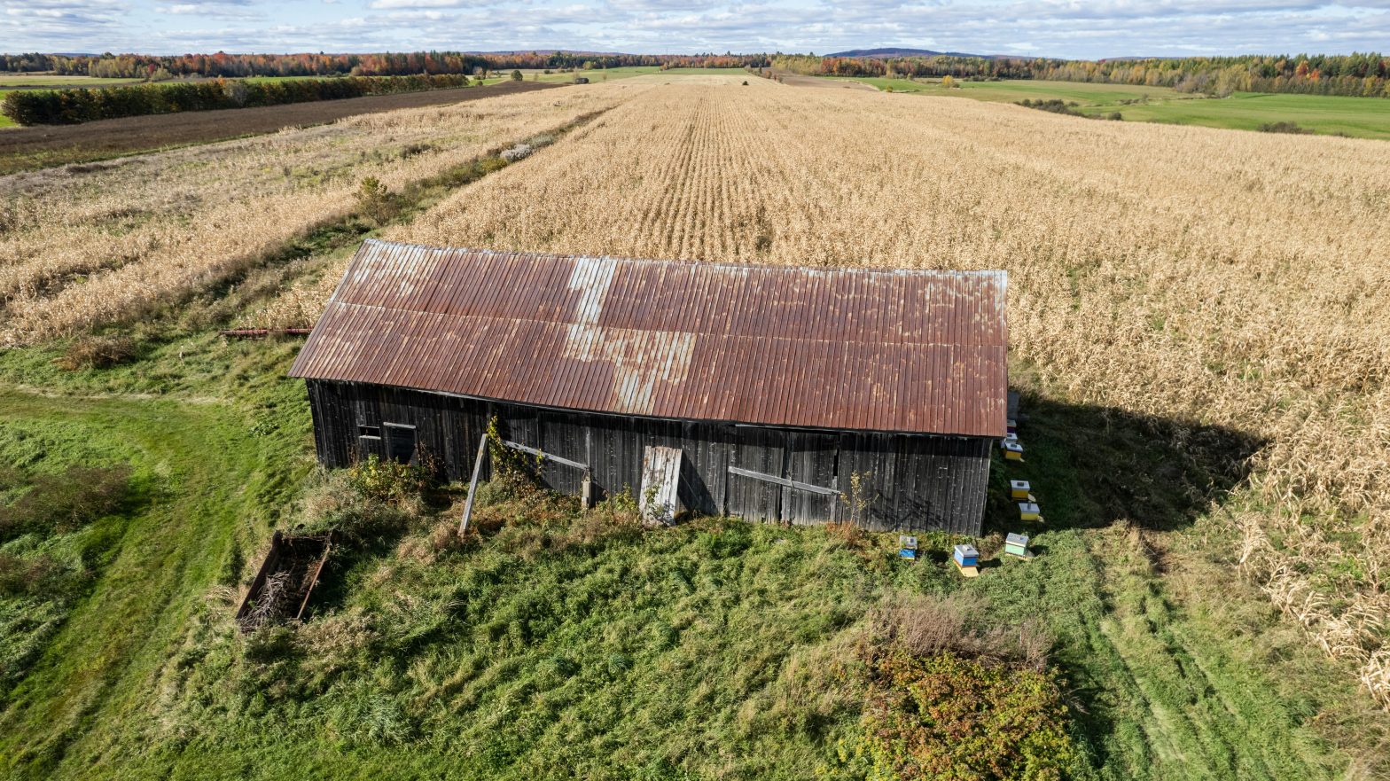 Photo of a Rustic Barn in Québec, Canada Cornfield Aerial View