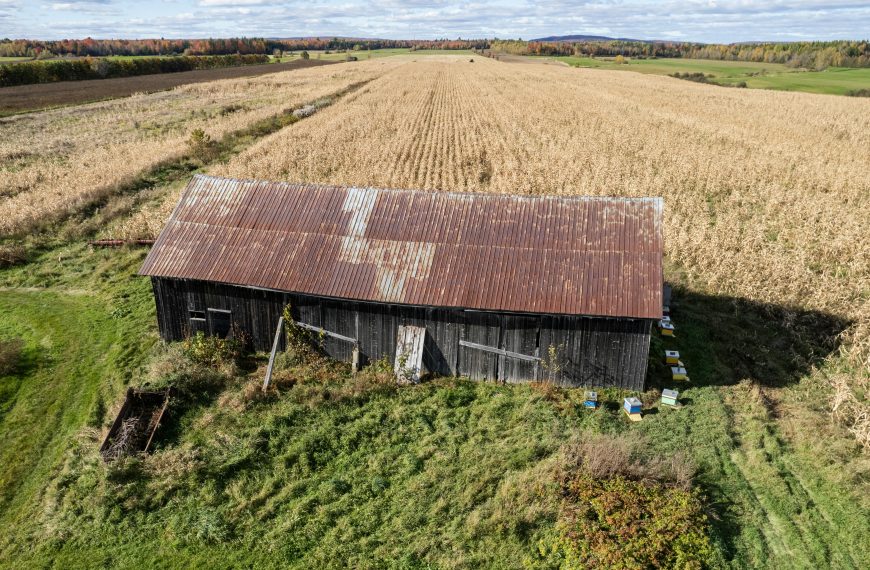 Photo of a Rustic Barn in Québec, Canada Cornfield Aerial View