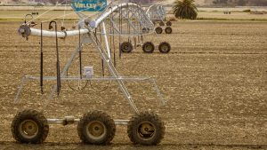 Photo of a lateral line Agricultural Sprinklers on a Farm Field