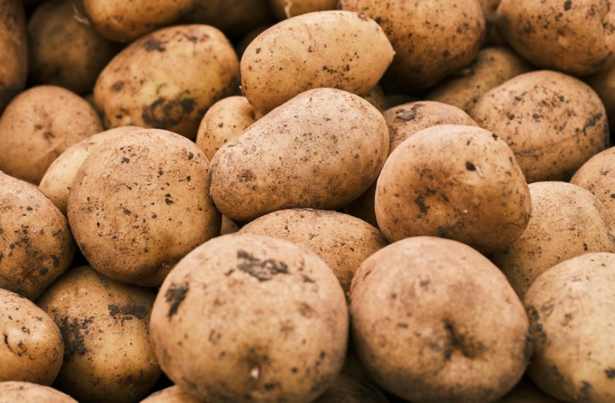 Photo of a bunch of potatoes.