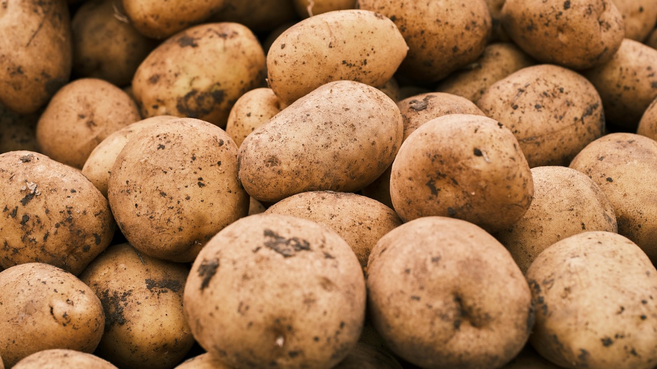 Photo of a bunch of potatoes.