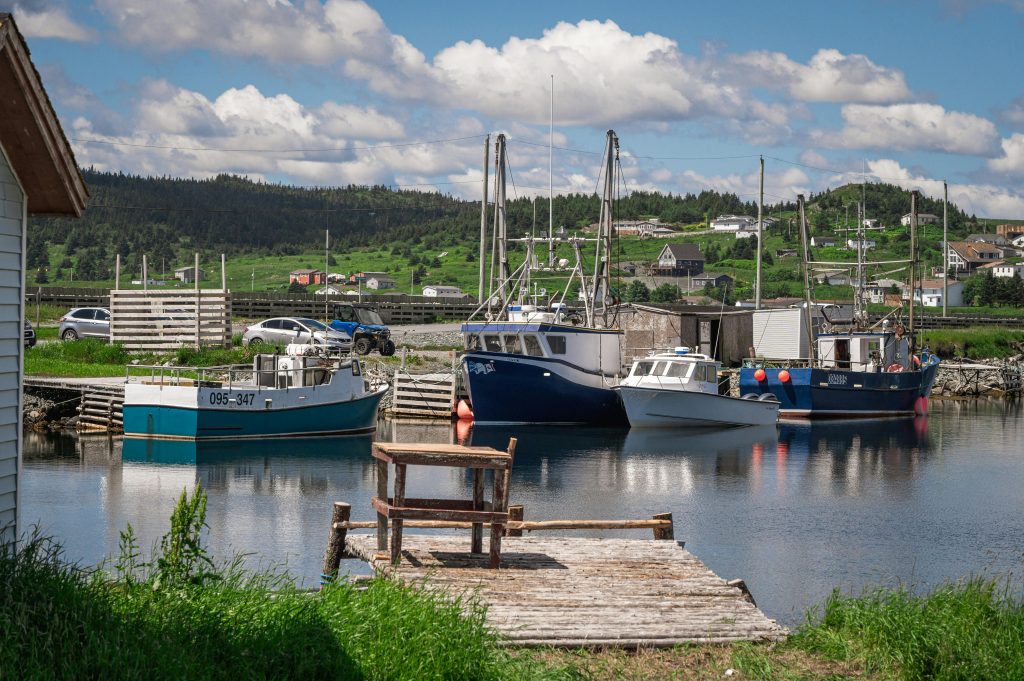 Photo of Boats on a Shore
