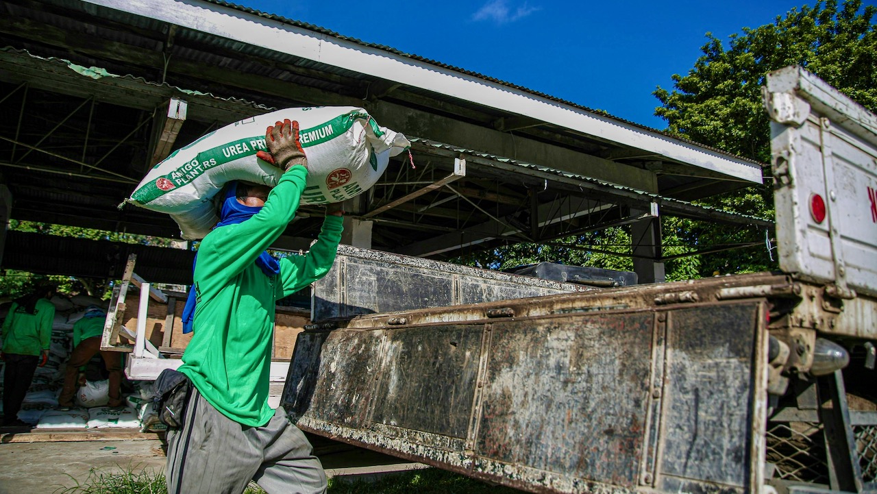 Photo of Man in Green Jumper Carrying a White Bag of urea fertilizer on his Head
