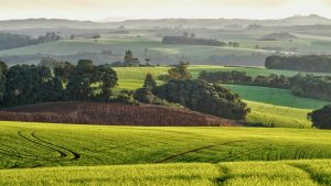 Photo of a green grassy field, with rolling hills in the background in Pitanga, ParanĂ¡, PR, Brazil