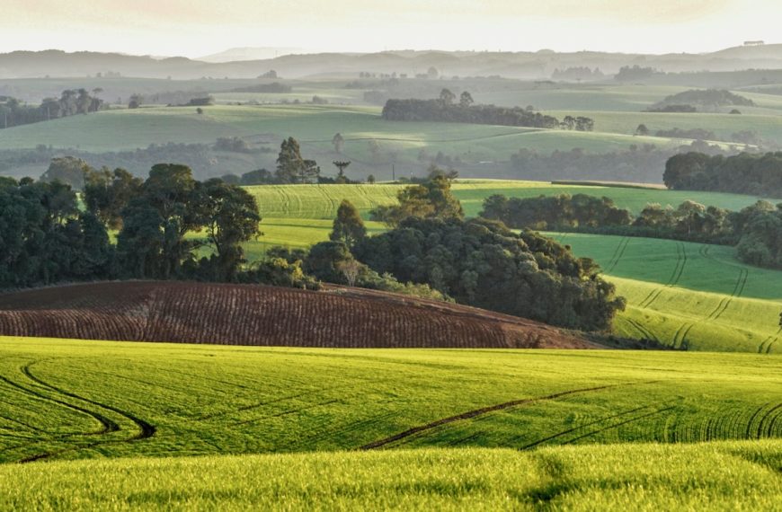Photo of a green grassy field, with rolling hills in the background in Pitanga, Paraná, PR, Brazil