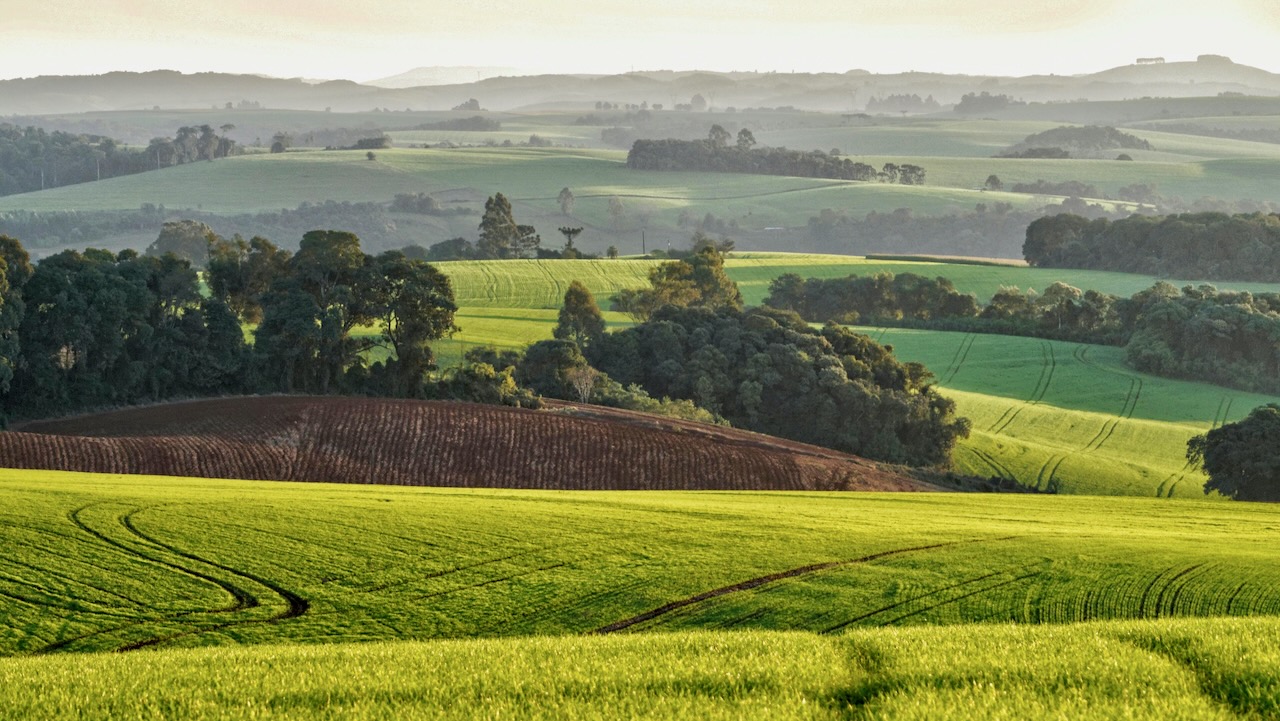 Photo of a green grassy field, with rolling hills in the background in Pitanga, ParanĂ¡, PR, Brazil